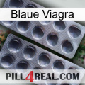 Blaue Viagra 31